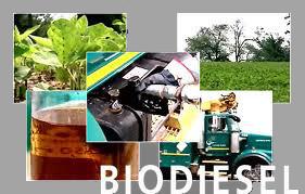 biodiesel